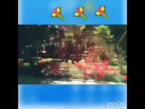 Цветущая Конья