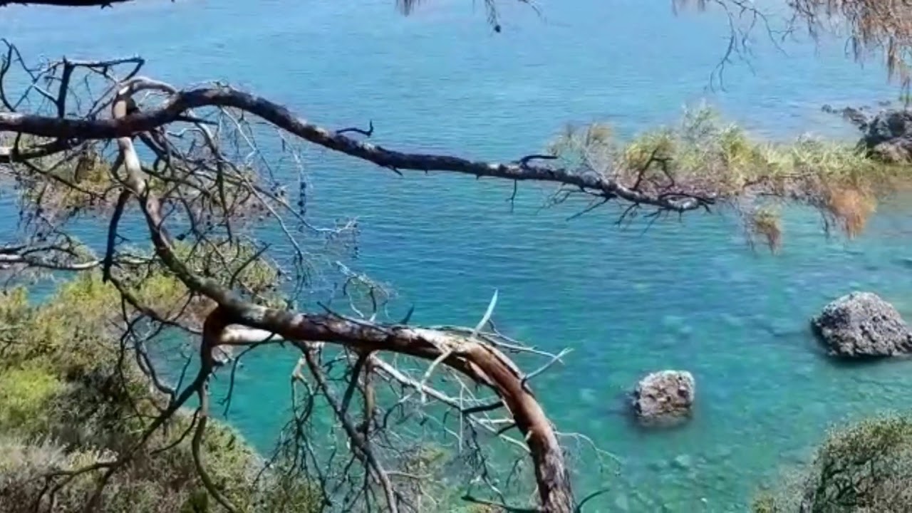 Дикие места под Гейнюком