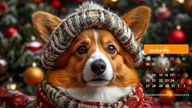 Щенок встречает Новый год с нашим календарём