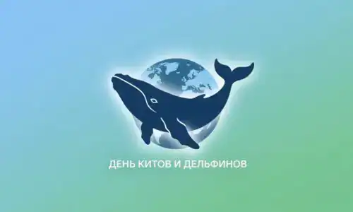 День китов и дельфинов: кит обнимает планету